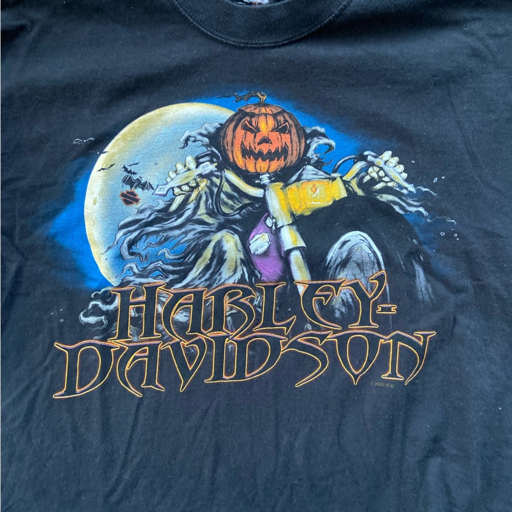 Cropped Harley Davidson Tee